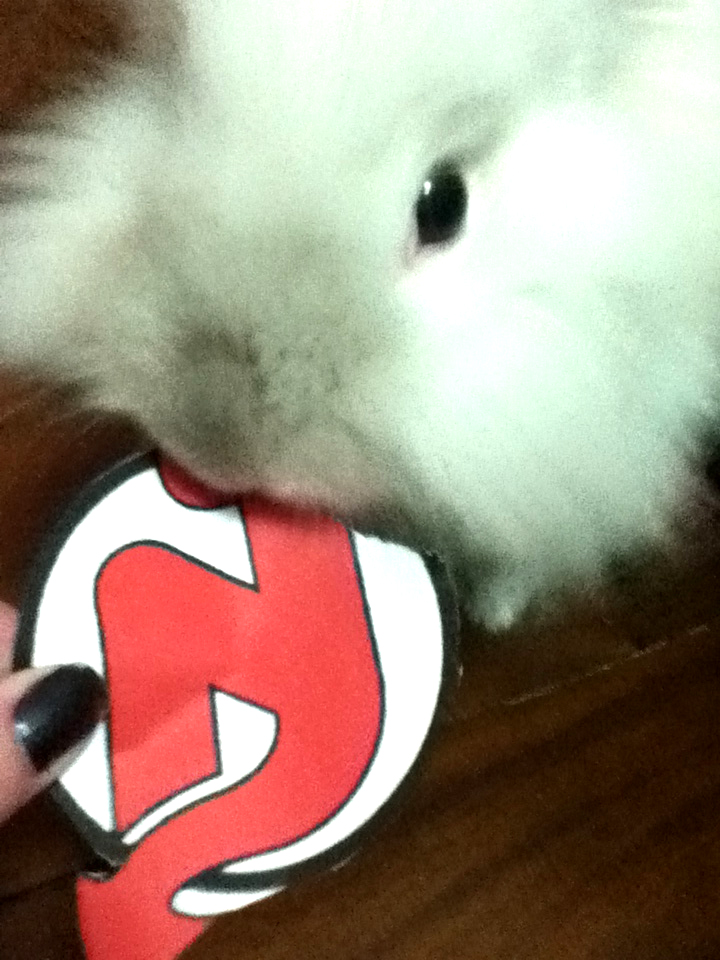 Puck the Bunny Predicts: Devils vs Canadiens