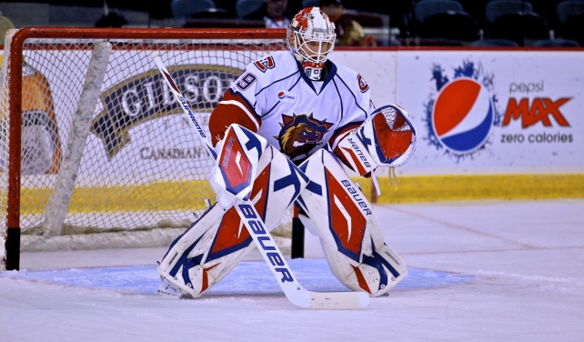 Hamilton Bulldogs Recall Peter Delmas From Wheeling