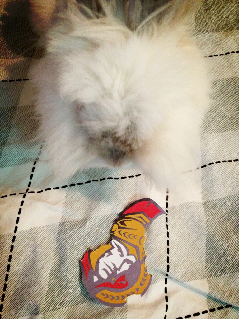 Puck the Bunny Predicts: Montreal Canadiens vs Ottawa Senators [VIDEO]