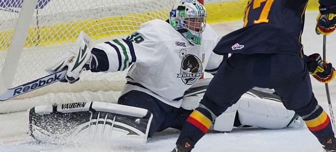 Prospect Alex Nedeljkovic Receives Goaltender Honors for September