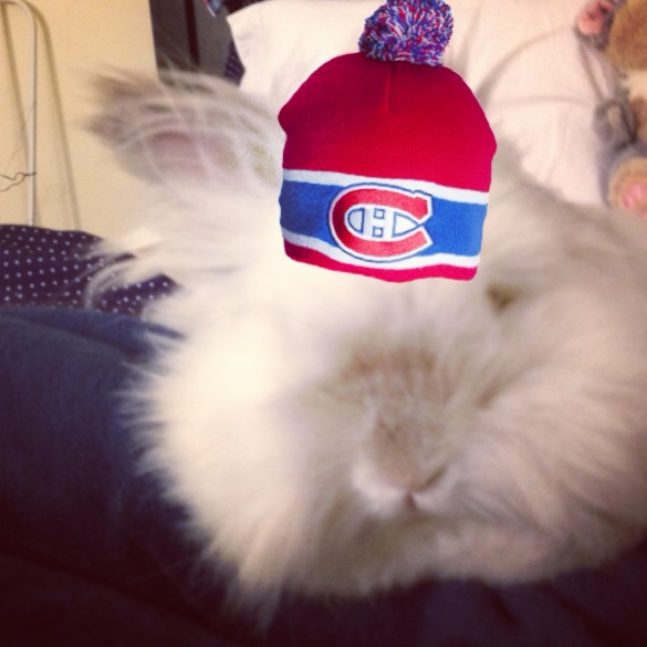 Puck the Bunny Predicts: Montreal Canadiens vs Vancouver Canucks [VIDEO]