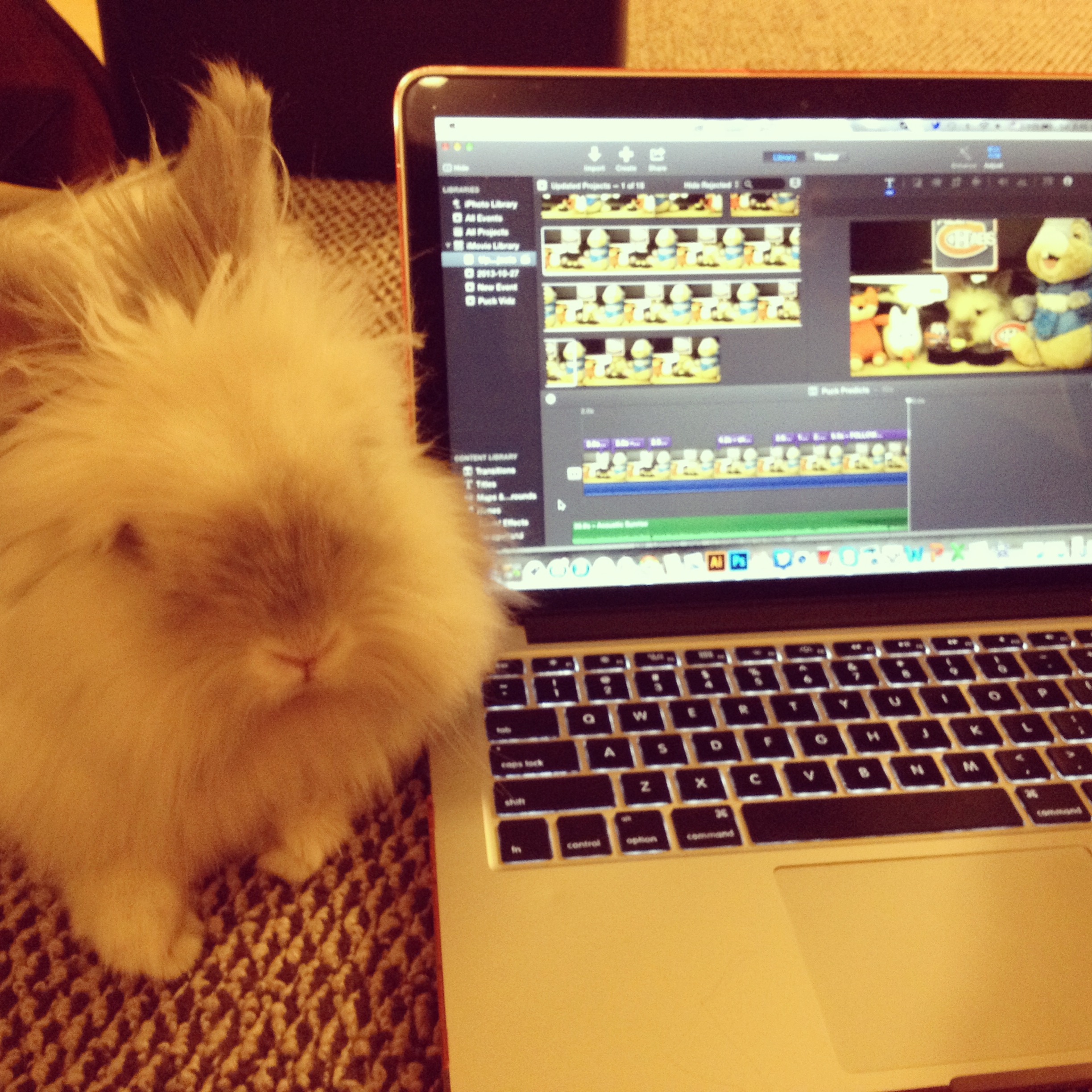 Puck the Bunny Predicts: Montreal Canadiens vs Columbus Blue Jackets [VIDEO]