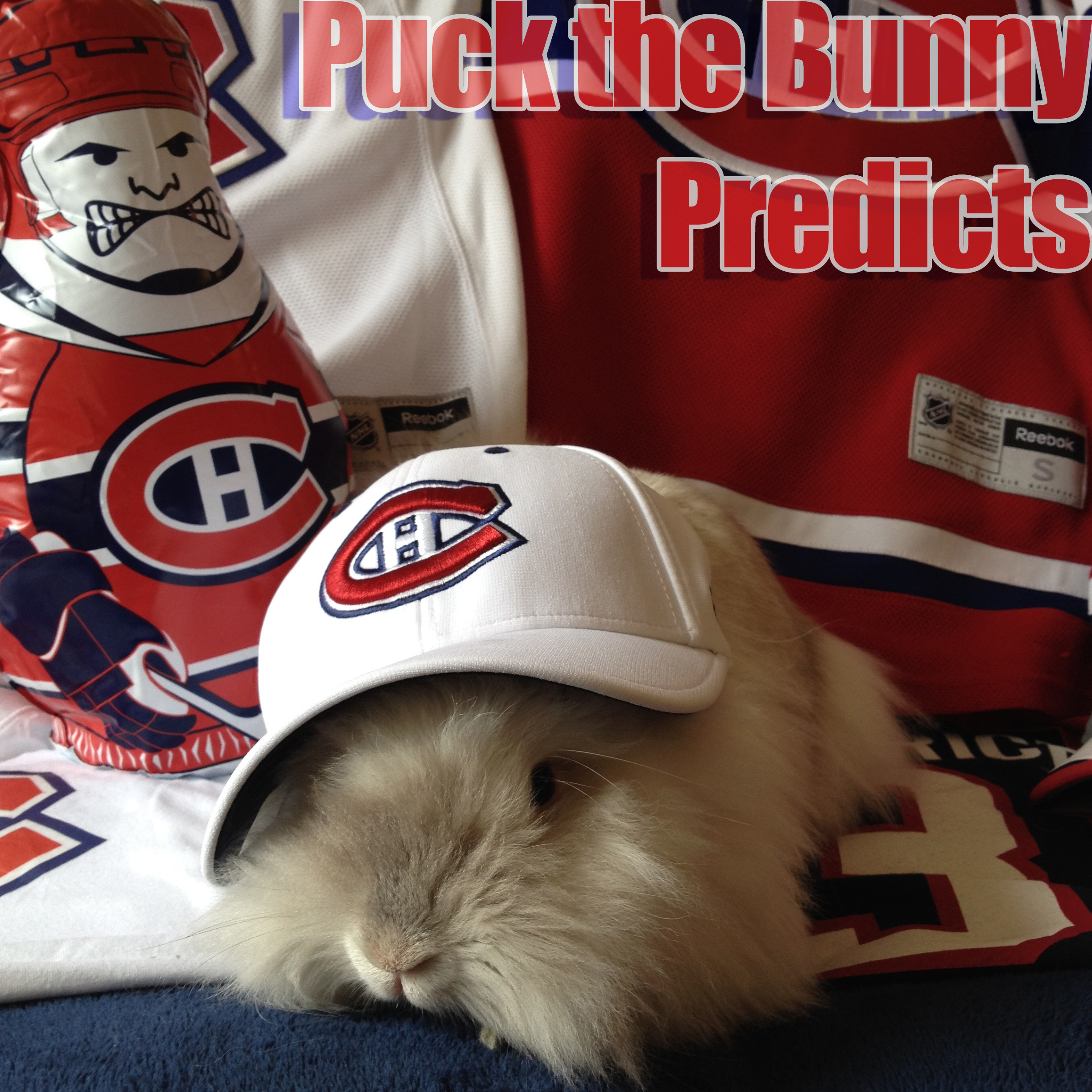 Puck the Bunny Predicts: Montreal Canadiens vs Philadelphia Flyers