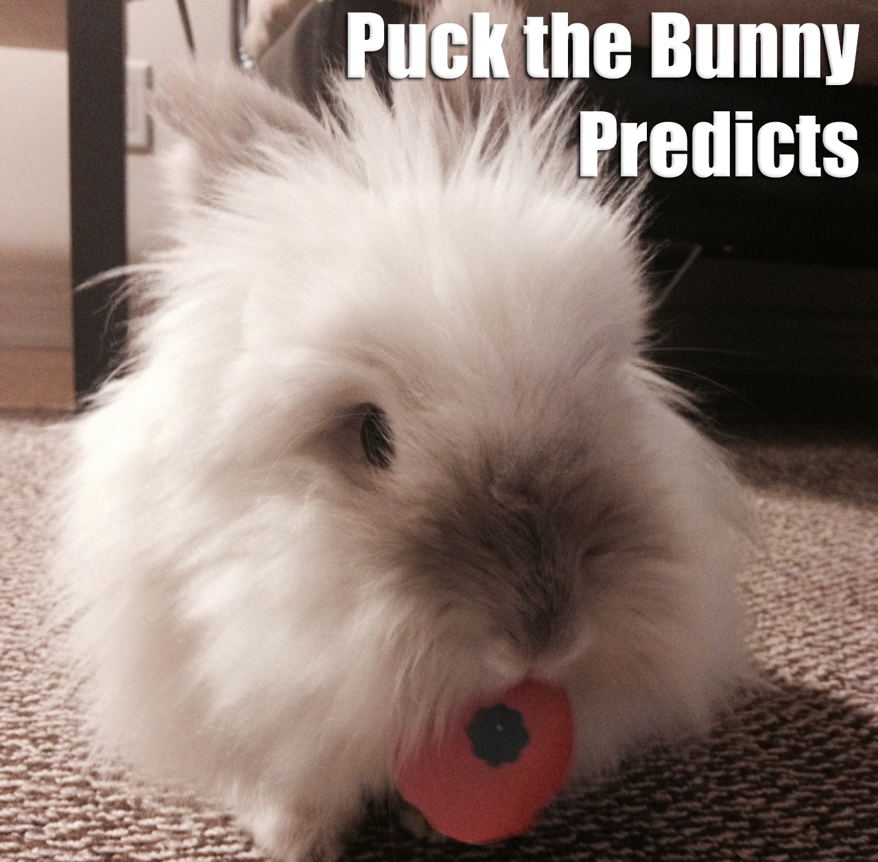 Puck the Bunny Predicts: Calgary Flames vs Montreal Canadiens