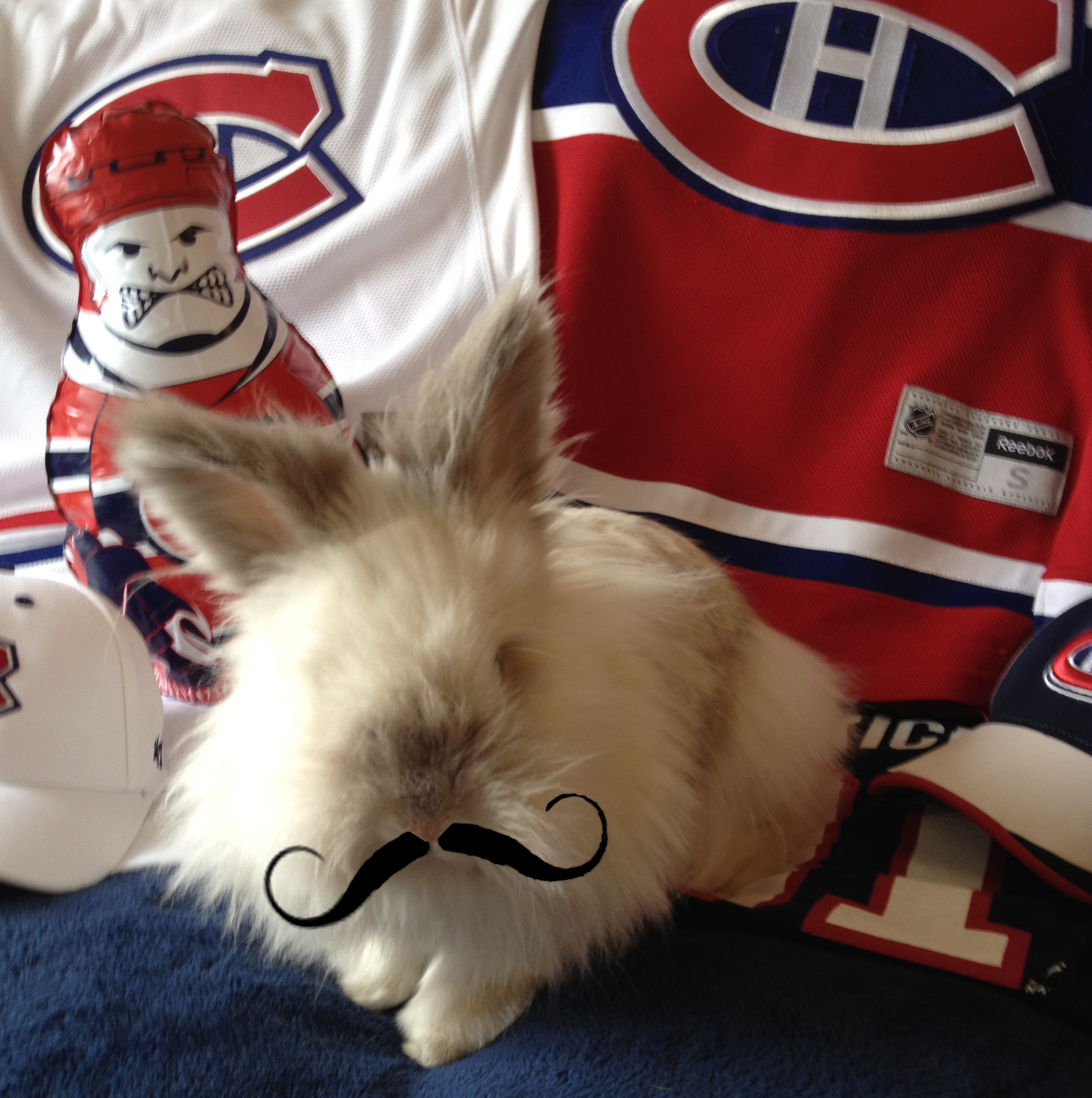 Puck the Bunny Predicts: Montreal Canadiens vs Buffalo Sabres