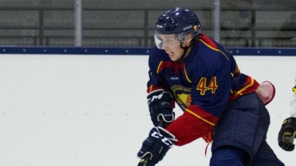 Instant Analysis: Habs 2015 Third Round Pick, Lukas Vejdemo