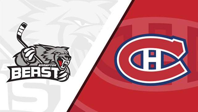 Canadiens Renew ECHL Affiliation with Brampton Beast