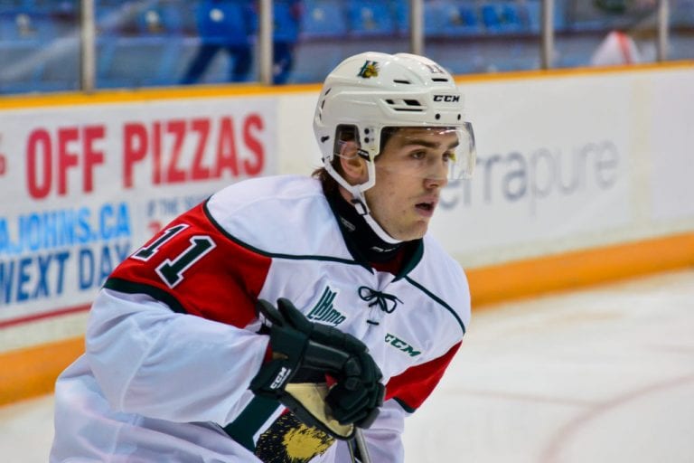 DRAFT PROFILE | Filip Zadina, A Complete Player