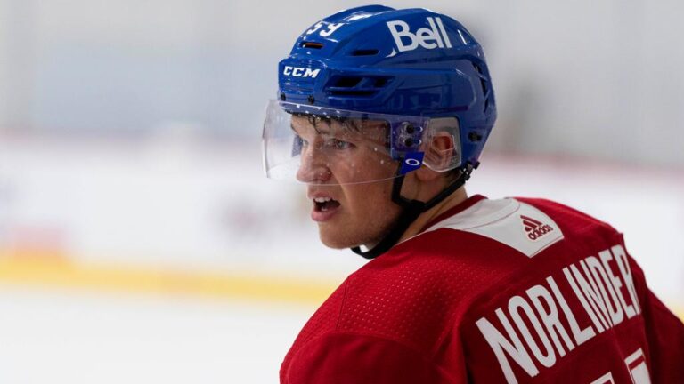 Norlinder, Hillis in Rookie Camp Spotlight | HABS HEADLINES