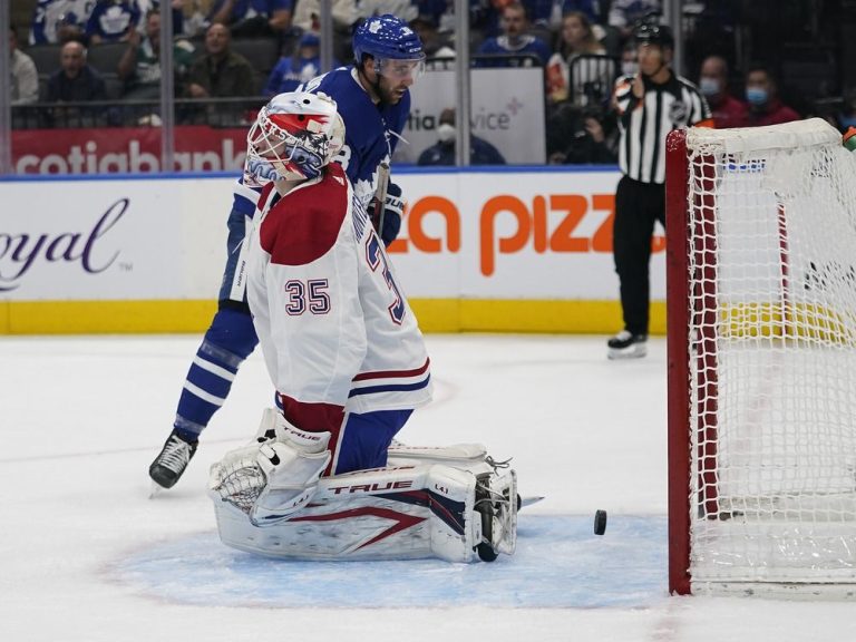 Question Marks in Goal | Habs Notepad